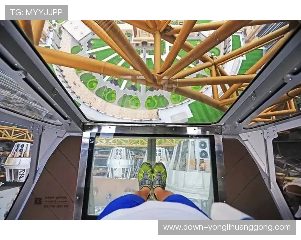 澳门新濠天地娱乐项目全介绍带你了解丰富多彩的娱乐体验与玩法